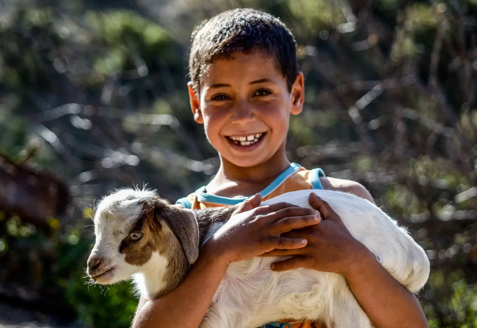 Enfant marocain souriant qui porte un agneau
